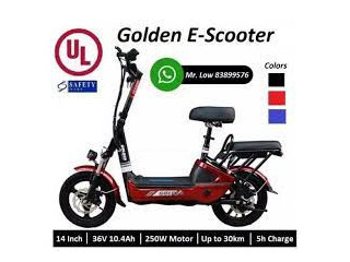 Golden Scooter UL LTA Registration 