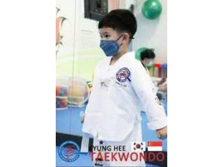 Kyunghee Taekwondo Learn and master the korean martial art