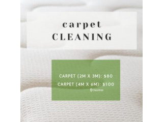 CHEAPEST carpet cleaning as low as carpet
