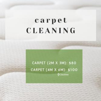 cheapest-carpet-cleaning-as-low-as-carpet-big-0