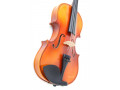 Brand New Violin set at with shoulder rest and free delivery