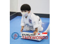kyunghee-taekwondo-master-taekwondo-techniques-small-1