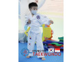 Kyunghee Taekwondo Master Taekwondo Techniques