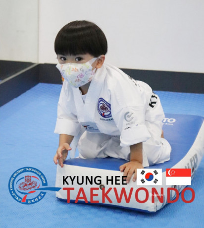 kyunghee-taekwondo-master-taekwondo-techniques-big-1