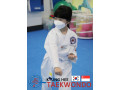 Kyunghee Taekwondo Free Trial lesson for Age years old and