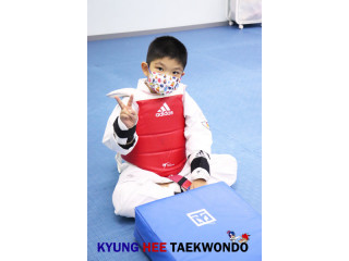 Kyunghee Taekwondo Ultimate Experience for Techniques