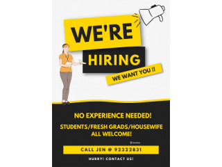 FLYER DISTRIBUTOR NEEDED STUDENTS HOUSEWIFE PART TIMERS