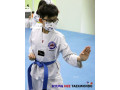 Kyunghee Taekwondo Mastering Taekwondo