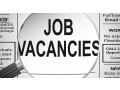TRANSPORT PROVIDED MONTHS CONTRACT WAREHOUSE ASST X 
