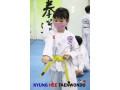 kyunghee-taekwondo-learning-an-extraordinary-skill-small-0