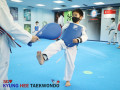 kyunghee-taekwondo-techniques-for-all-levels-small-1