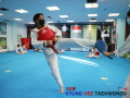 Kyunghee Taekwondo Techniques for All Levels