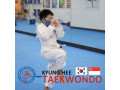 kyunghee-taekwondo-martial-arts-platform-small-0