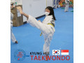 kyunghee-taekwondo-martial-arts-platform-small-1