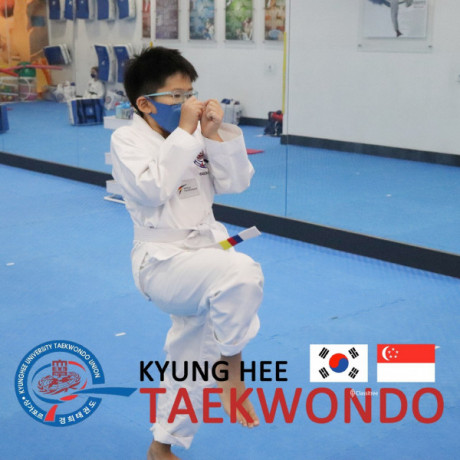 kyunghee-taekwondo-martial-arts-platform-big-0