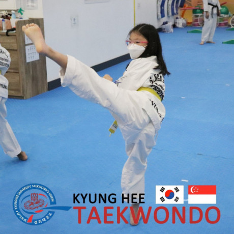 kyunghee-taekwondo-martial-arts-platform-big-1