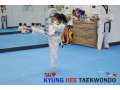 kyunghee-taekwondo-one-stop-for-taekwondo-techniques-small-0