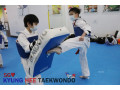 kyunghee-taekwondo-one-stop-for-taekwondo-techniques-small-1