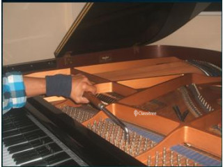Piano Tuning by Japan Trained Professional Call 
