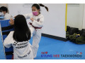 Kyunghee Taekwondo The Ultimate Experience to Taekwondo