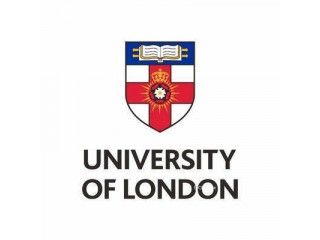 UOL Introduction to Economics Tuition Contact 