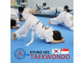Kyunghee Taekwondo Drilling Foundations