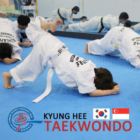 kyunghee-taekwondo-drilling-foundations-big-0