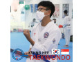 kyunghee-taekwondo-taekwondo-kicking-techniques-small-1