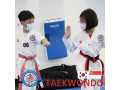 kyunghee-taekwondo-experience-of-taekwondo-techniques-small-1