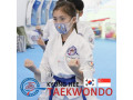 kyunghee-taekwondo-taekwondo-platform-for-all-ages-small-1