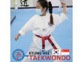 Kyunghee Taekwondo Taekwondo Platform for All Ages