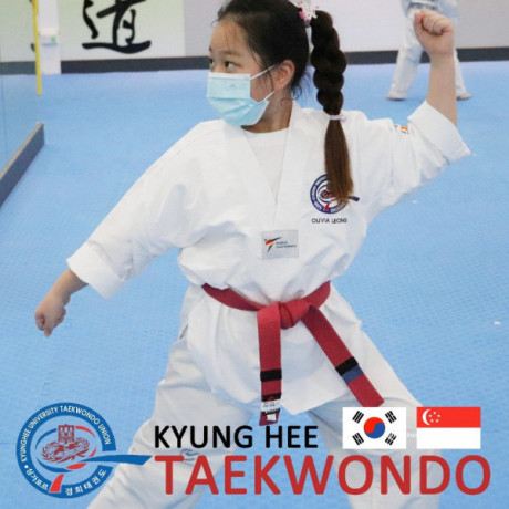 kyunghee-taekwondo-taekwondo-platform-for-all-ages-big-0