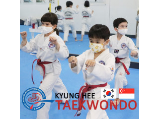 Kyunghee Taekwondo   Foundation Techniques for All Levels