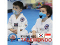 kyunghee-taekwondo-taekwondo-foundation-techniques-for-all-a-small-1