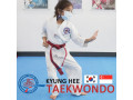 Kyunghee Taekwondo Taekwondo Foundation Techniques for all A