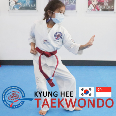kyunghee-taekwondo-taekwondo-foundation-techniques-for-all-a-big-0