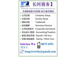 Professional Accounting TaxationCorporate Secretarial Svs
