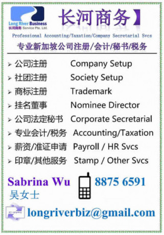 professional-accounting-taxationcorporate-secretarial-svs-big-0