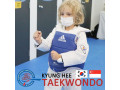 kyunghee-taekwondo-patterns-and-discipline-small-1