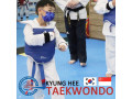 Kyunghee Taekwondo Patterns and Discipline