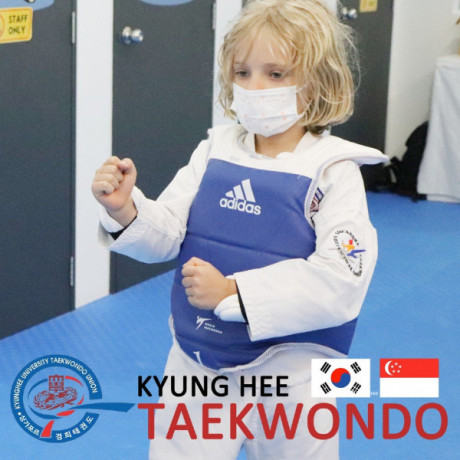 kyunghee-taekwondo-patterns-and-discipline-big-1