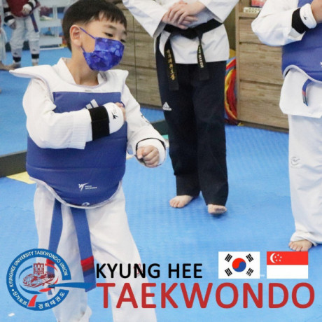 kyunghee-taekwondo-patterns-and-discipline-big-0