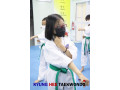 kyunghee-taekwondo-patterns-techniques-small-0