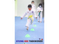 kyunghee-taekwondo-patterns-techniques-small-1