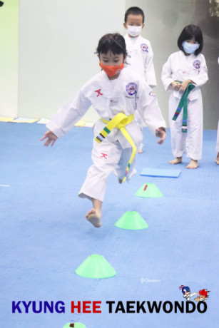 kyunghee-taekwondo-patterns-techniques-big-1