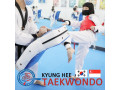 kyunghee-taekwondo-master-techniques-of-foundation-small-1