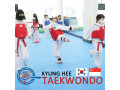 kyunghee-taekwondo-taekwondo-techniques-for-kids-and-adults-small-1