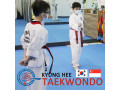 Kyunghee Taekwondo Taekwondo Techniques for Kids and Adults