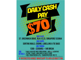 DAILY CASH PAID JOB AT TAMPINES GREENWICH DRIVE