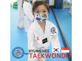 kyunghee-taekwondo-techniques-foundation-for-all-ages-small-0